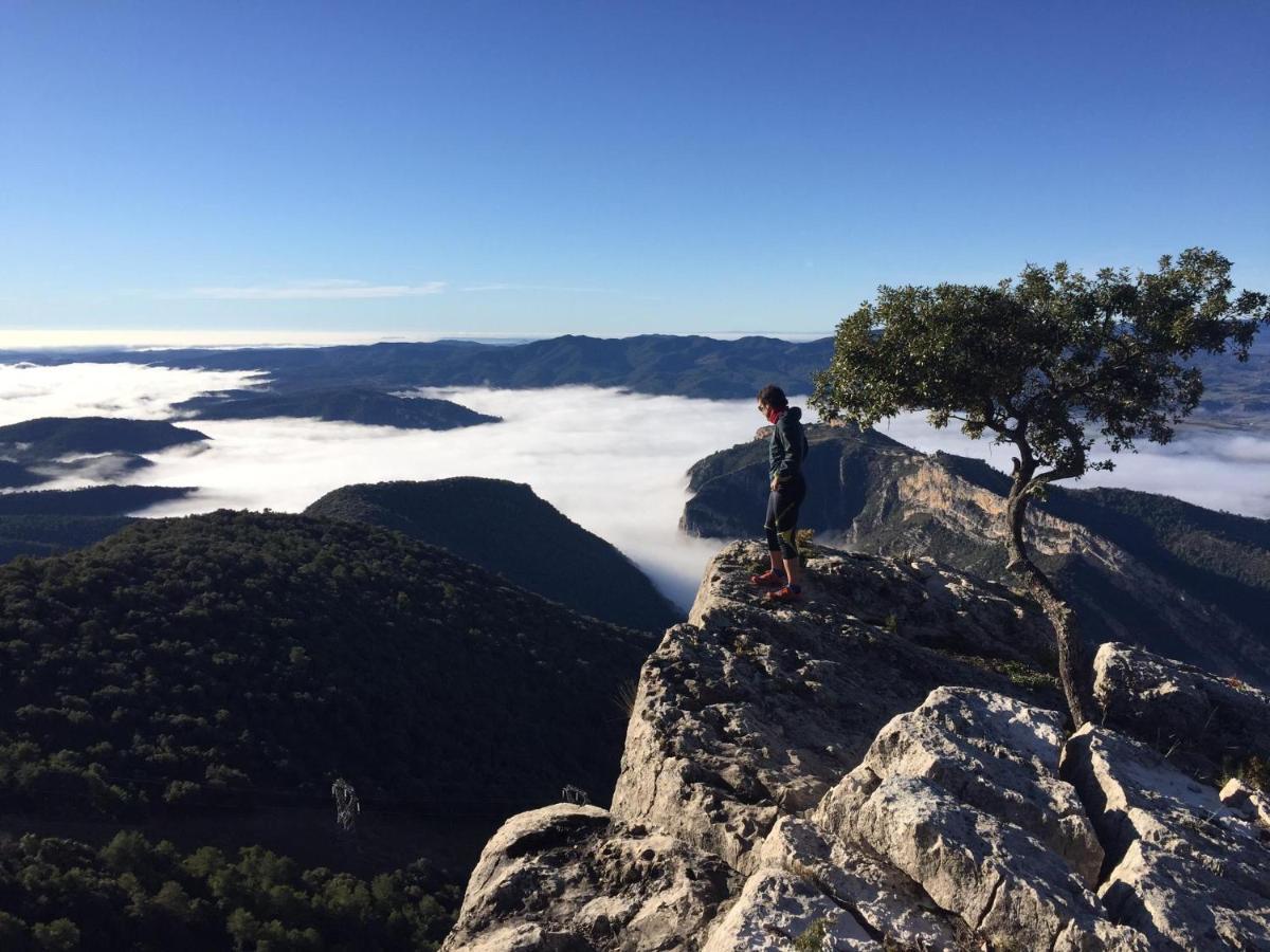 Apartamento Cinca Pirineo Aínsa Esterno foto