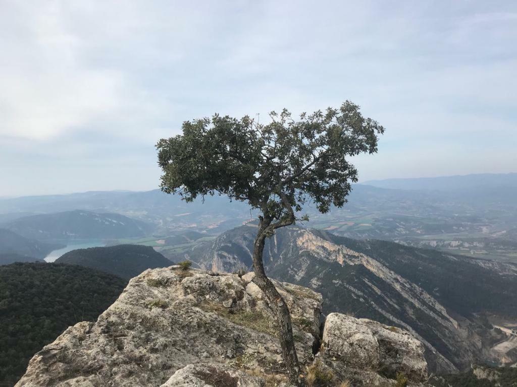Apartamento Cinca Pirineo Aínsa Esterno foto